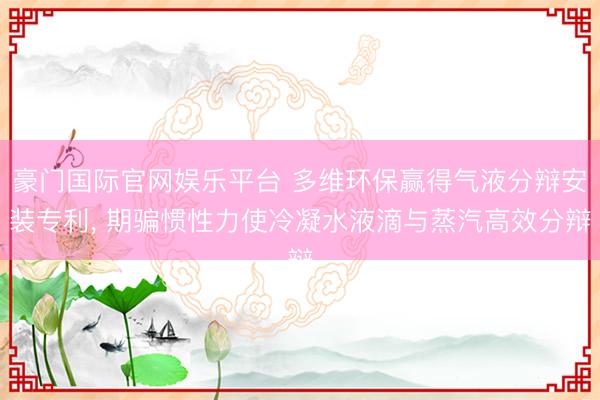豪门国际官网娱乐平台 多维环保赢得气液分辩安装专利, 期骗惯性力使冷凝水液滴与蒸汽高效分辩