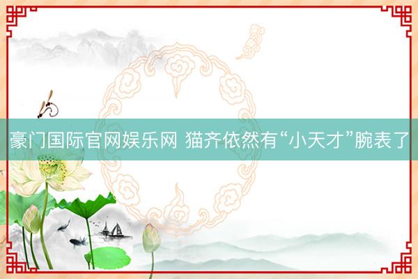 豪门国际官网娱乐网 猫齐依然有“小天才”腕表了