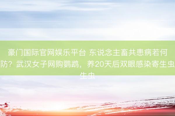 豪门国际官网娱乐平台 东说念主畜共患病若何防?武汉女子网购鹦鹉,养20天后双眼感染寄生虫