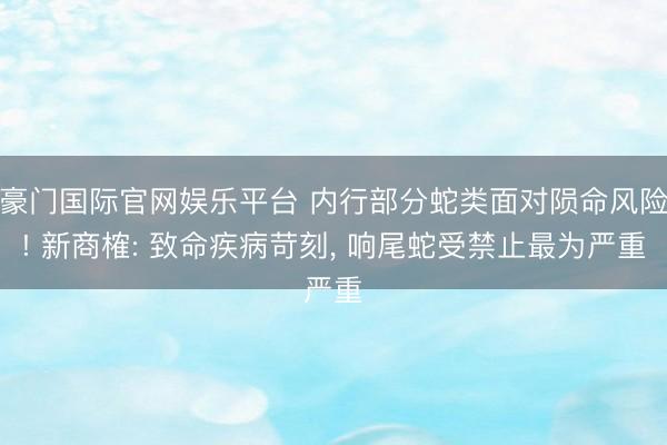 豪门国际官网娱乐平台 内行部分蛇类面对陨命风险! 新商榷: 致命疾病苛刻, 响尾蛇受禁止最为严重