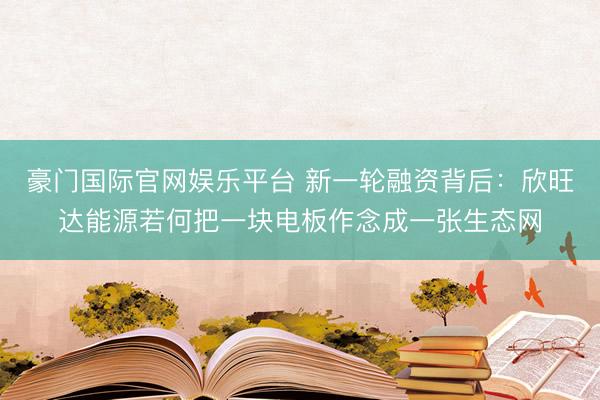 豪门国际官网娱乐平台 新一轮融资背后：欣旺达能源若何把一块电板作念成一张生态网