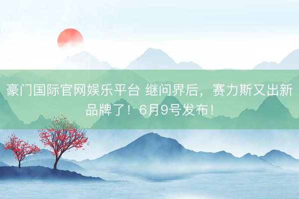 豪门国际官网娱乐平台 继问界后,赛力斯又出新品牌了!6月9号发布!