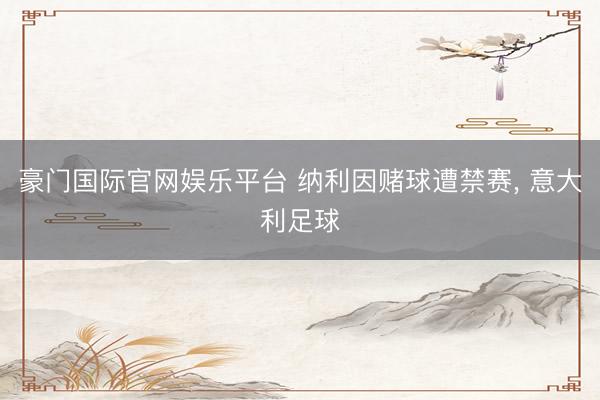 豪门国际官网娱乐平台 纳利因赌球遭禁赛, 意大利足球